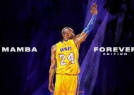 世俱杯直播-意甲球队排行榜前十名详细解析及赛季表现趋势